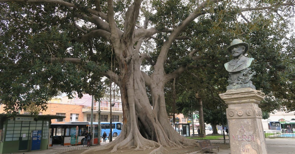 🌳 공공 정원(자르디니 푸블리치)